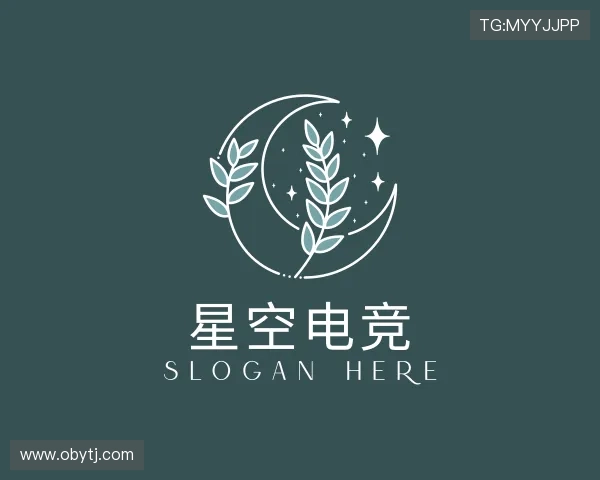 了解星空电竞官网